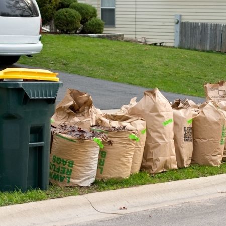 Yard Waste Clean-Up and Disposal