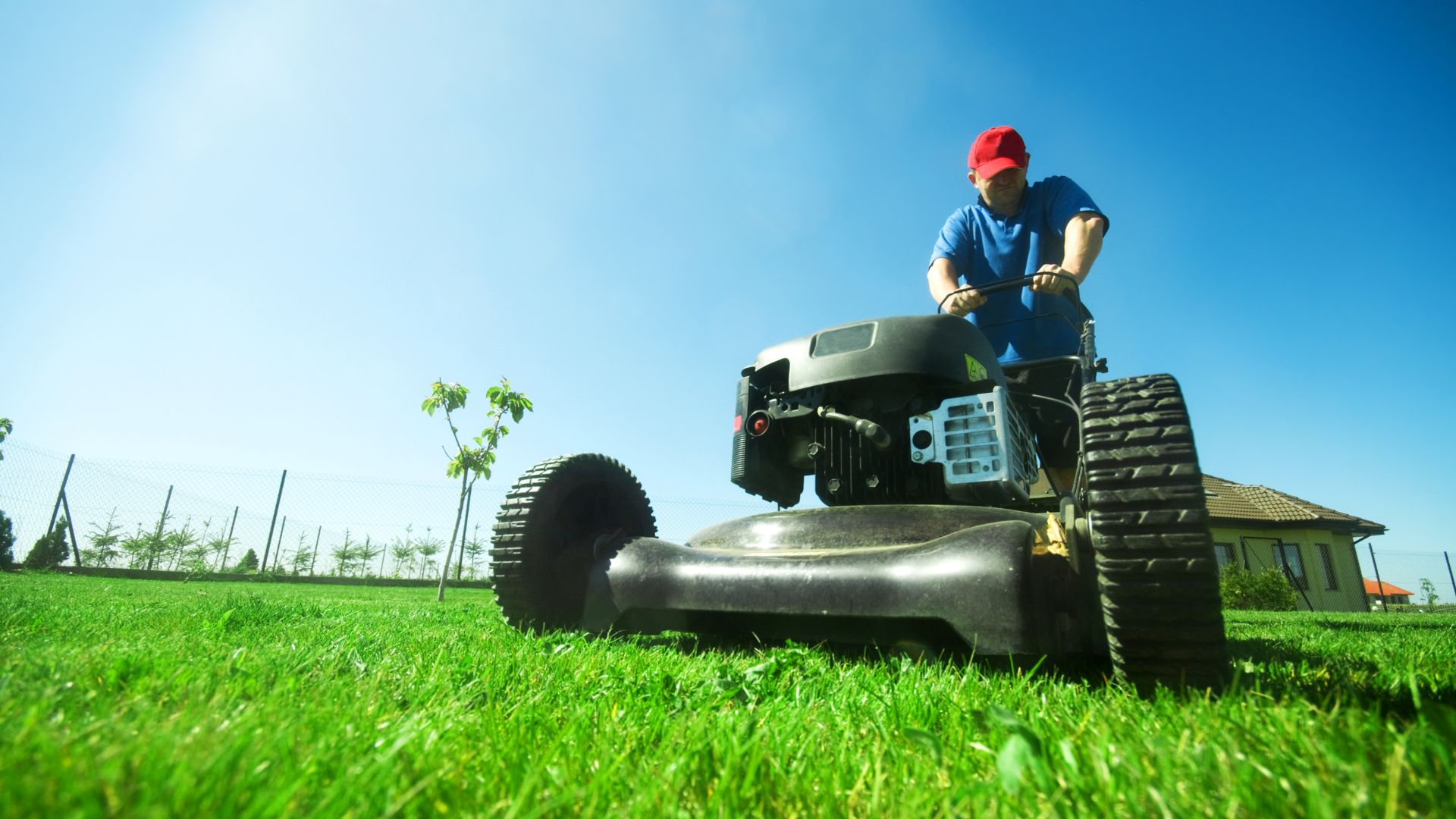 Mowing the lawn regularly not only keeps your lawn looking neat and tidy, but it also promotes healthy growth of the grass.